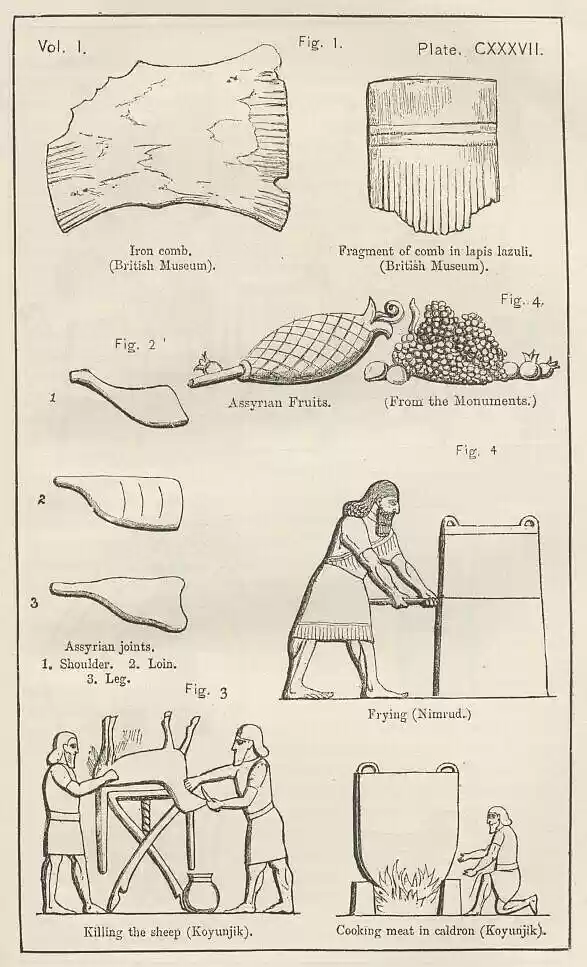 plate137
